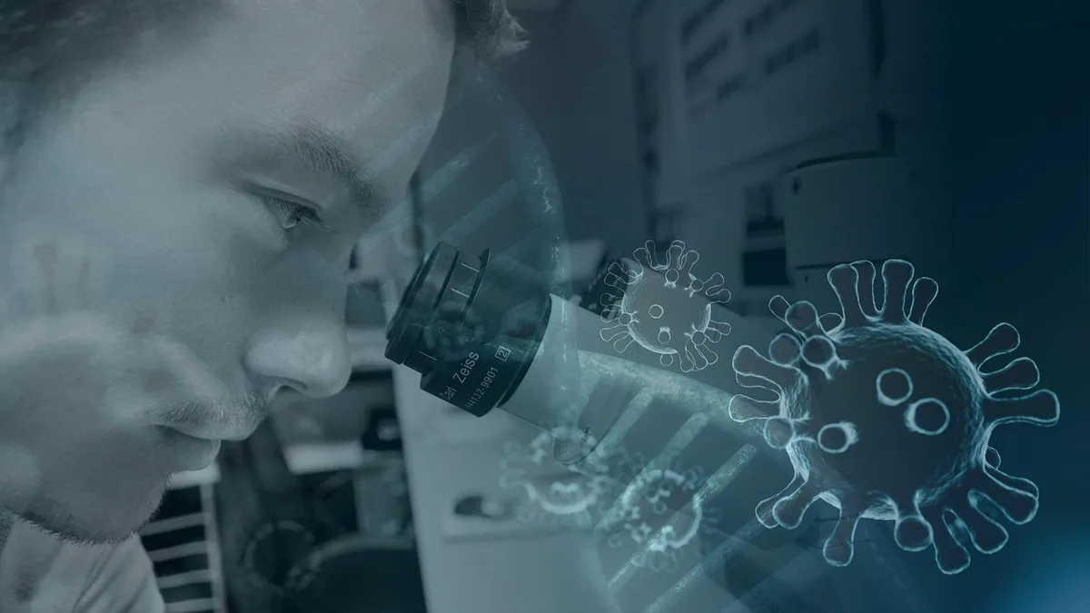Technicien observant un frottis sanguin au microscope en laboratoire vétérinaire