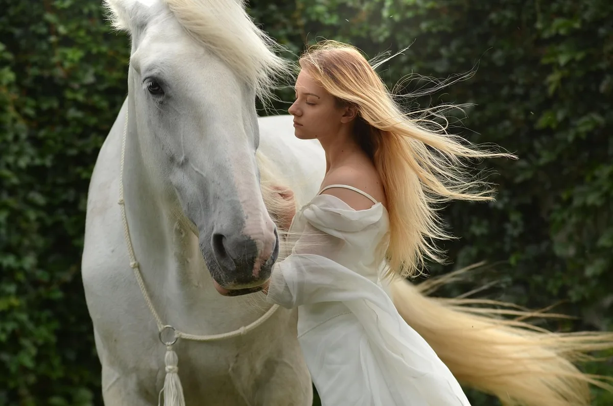 Illustration des gènes de couleur du cheval, dont le gène crème
