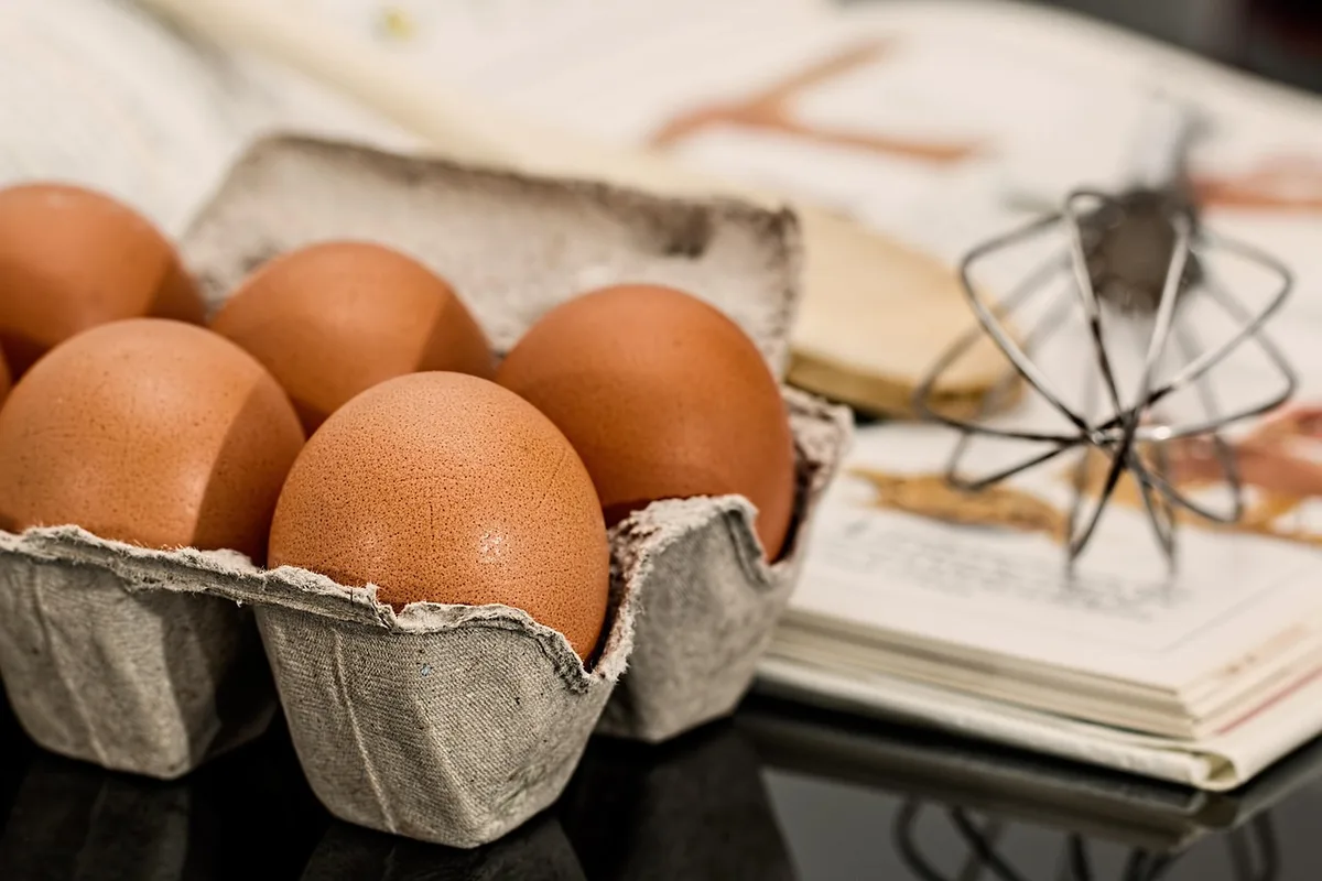 Préparation de friandises maison pour animaux sur un plan de travail