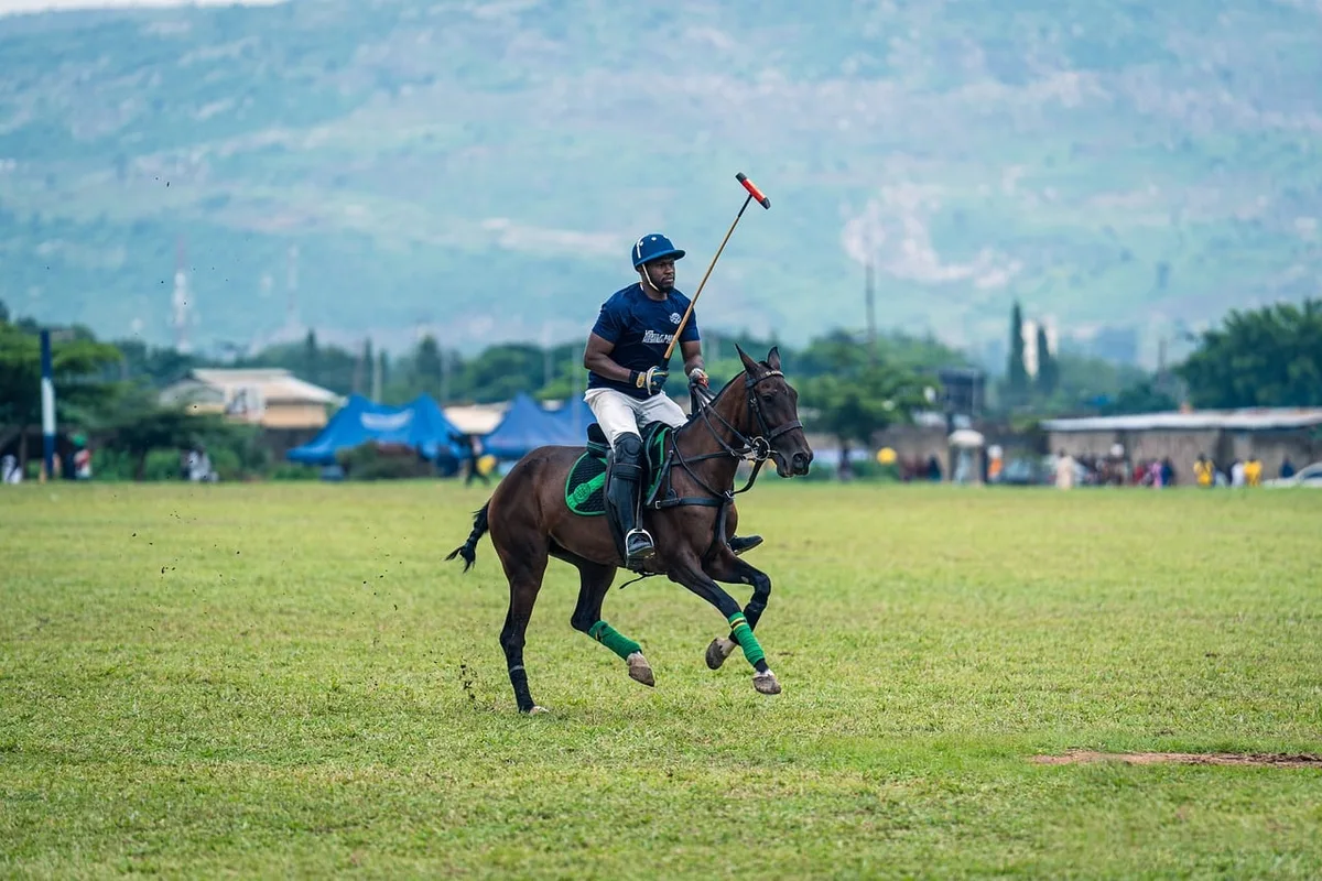 Épaule extérieure du cheval en mouvement sur une piste