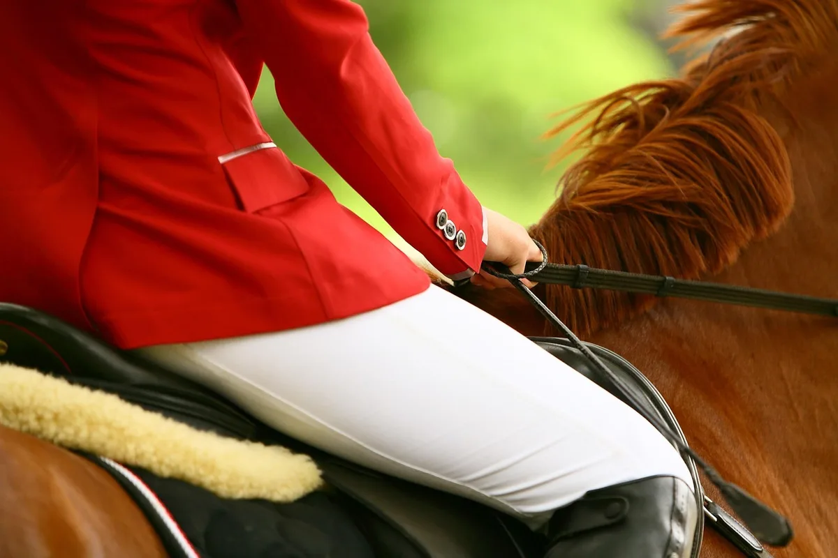 Cavalier travaillant un cercle au trot enlevé