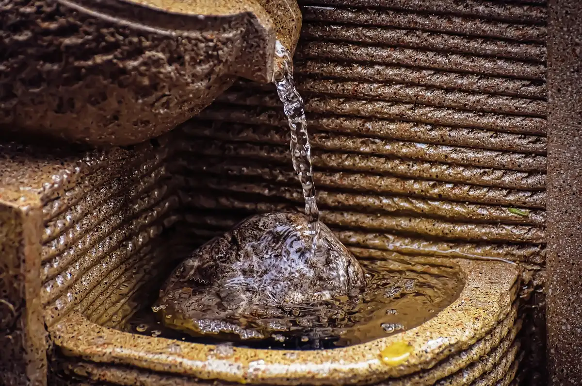 Fonteine à eau pour chat et bols d'eau frais dans une cuisine lumineuse